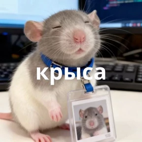 Memes 1 — стикер для MAX