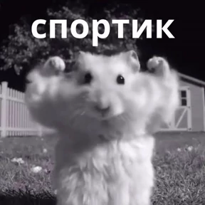 Memes 1 — стикер для MAX