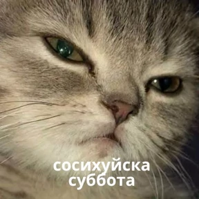 Memes 1 — стикер для MAX