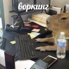 Memes 1 — стикер для MAX