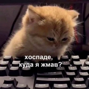 Memes 1 — стикер для MAX