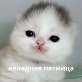 Memes 1 — стикер для MAX