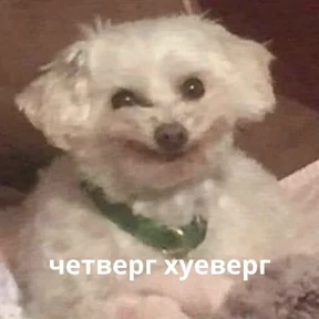 Memes 1 — стикер для MAX