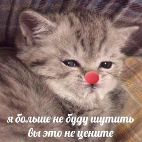 Memes 1 — стикер для MAX