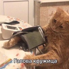 Memes 1 — стикер для MAX