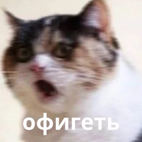 Memes 1 — стикер для MAX