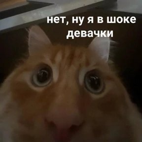 Memes 1 — стикер для MAX