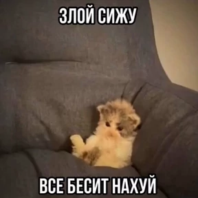Memes 1 — стикер для MAX