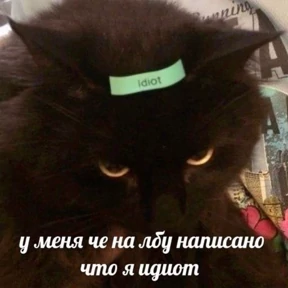 Memes 1 — стикер для MAX