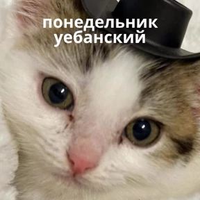 Memes 1 — стикер для MAX