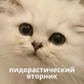 Memes 1 — стикер для MAX