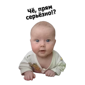 Ежовский — стикер для MAX