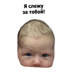 Ежовский — стикер для MAX