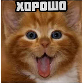 Сделай сам — стикер для MAX