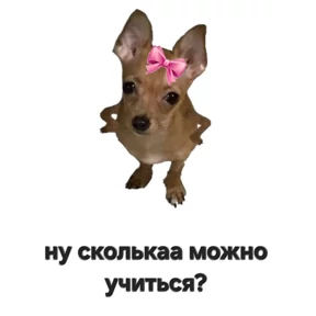Стикерпук — стикер для MAX