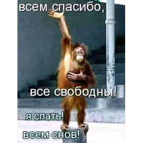 Стикеры мем — стикер для MAX