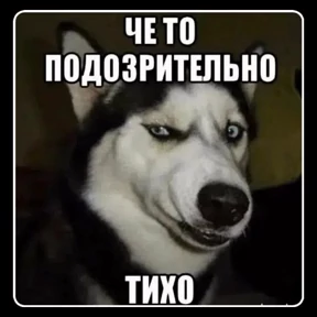 Стикеры мем — стикер для MAX