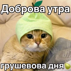 Доброва утра — стикер для MAX