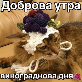 Доброва утра — стикер для MAX