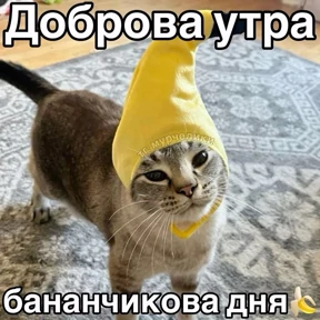 Доброва утра — стикер для MAX