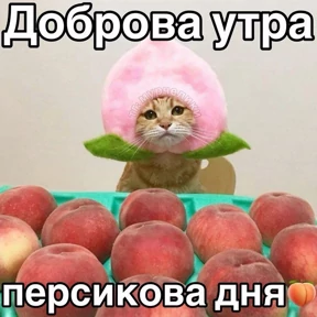 Доброва утра — стикер для MAX