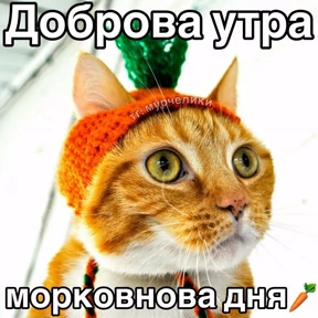 Доброва утра — стикер для MAX