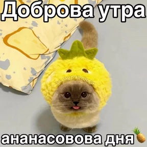Доброва утра — стикер для MAX