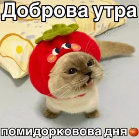 Доброва утра — стикер для MAX
