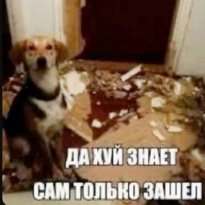 Да — стикер для MAX