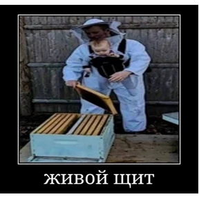 Да — стикер для MAX