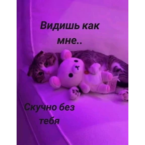 alfixxi — стикер для MAX