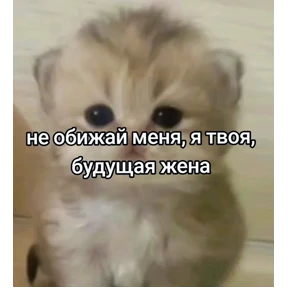 Я же маша — стикер для MAX