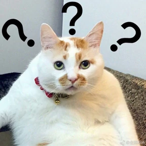 Котечки — стикер для MAX