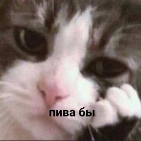 Я же маша — стикер для MAX