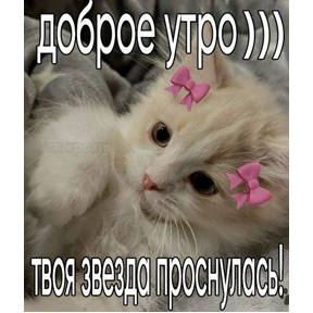 Я же маша — стикер для MAX