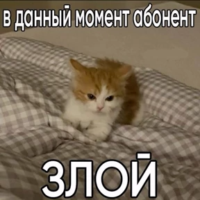 Я же маша — стикер для MAX