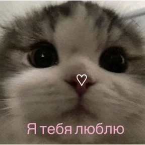 Я же маша — стикер для MAX