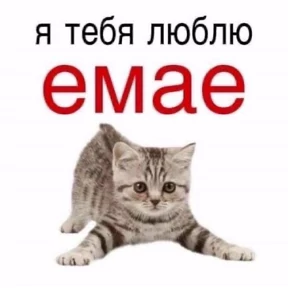Я же маша — стикер для MAX