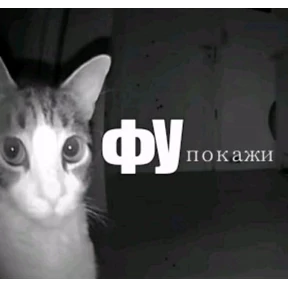 GH — стикер для MAX