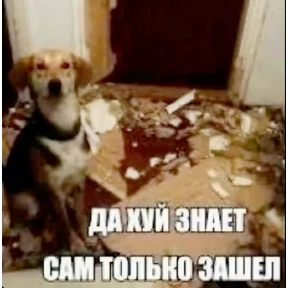 GH — стикер для MAX