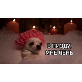 GH — стикер для MAX
