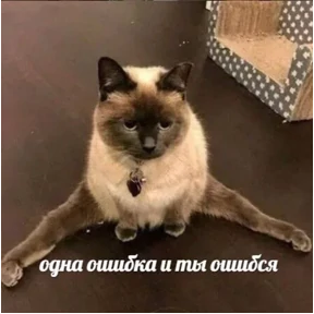 ZEIQEKALQQ — стикер для MAX
