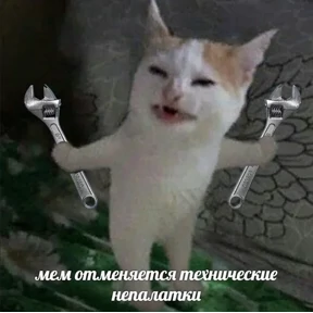 ZEIQEKALQQ — стикер для MAX