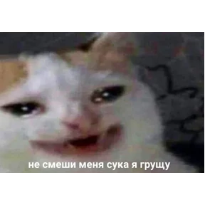 ZEIQEKALQQ — стикер для MAX