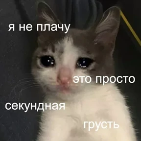 ZEIQEKALQQ — стикер для MAX