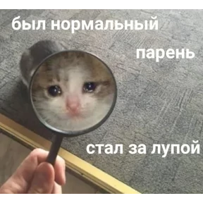 ZEIQEKALQQ — стикер для MAX