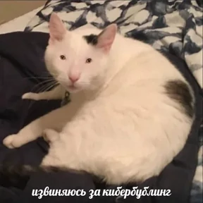 ZEIQEKALQQ — стикер для MAX