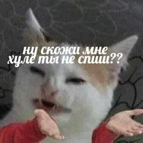 ZEIQEKALQQ — стикер для MAX