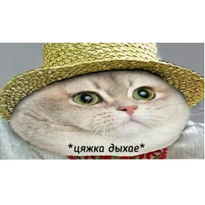 ZEIQEKALQQ — стикер для MAX