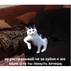 ZEIQEKALQQ — стикер для MAX
